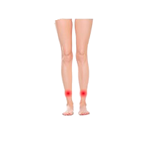 Tibias